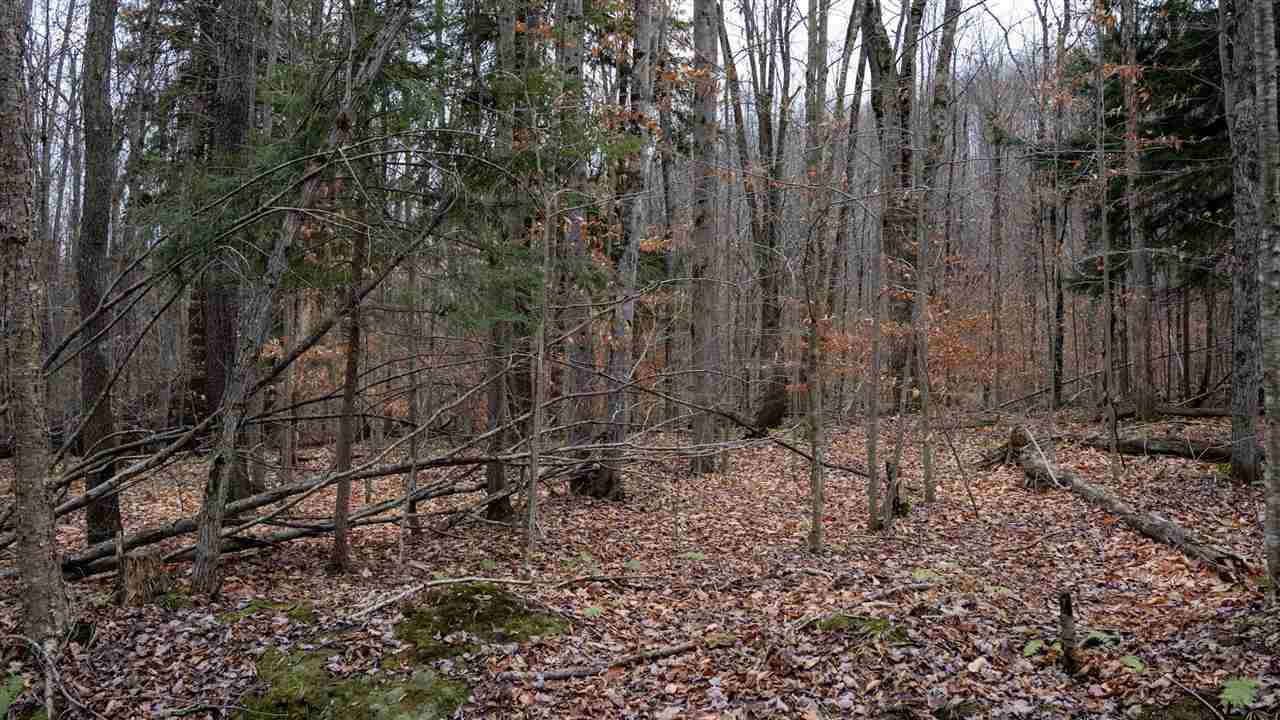 Tbd Brookwood Hills Drive East Jordan MI 49727