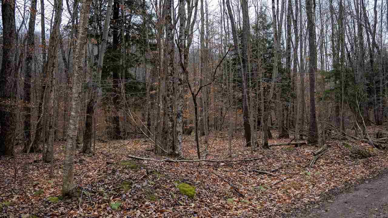 Tbd Brookwood Hills Drive East Jordan MI 49727