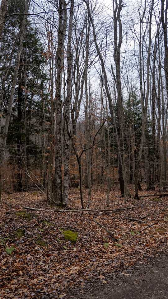 Tbd Brookwood Hills Drive East Jordan MI 49727