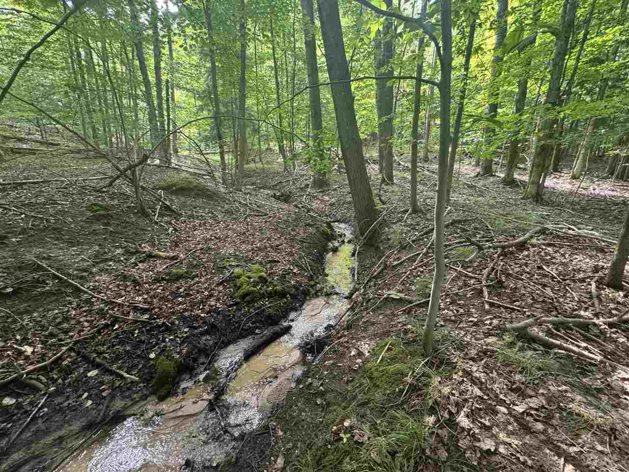 0 Six Mile Lake Road Ellsworth MI 49722