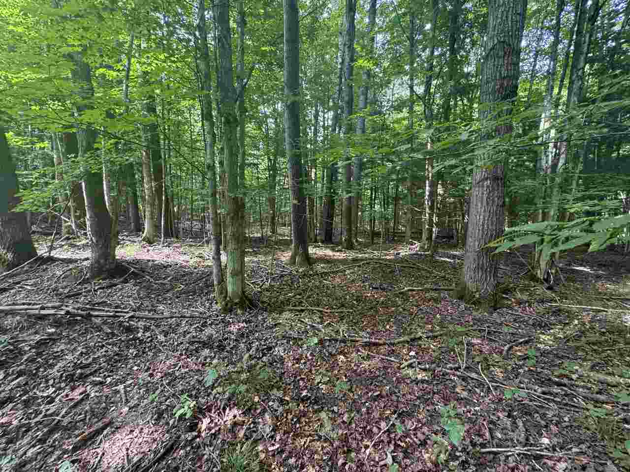 0 Six Mile Lake Road Ellsworth MI 49722