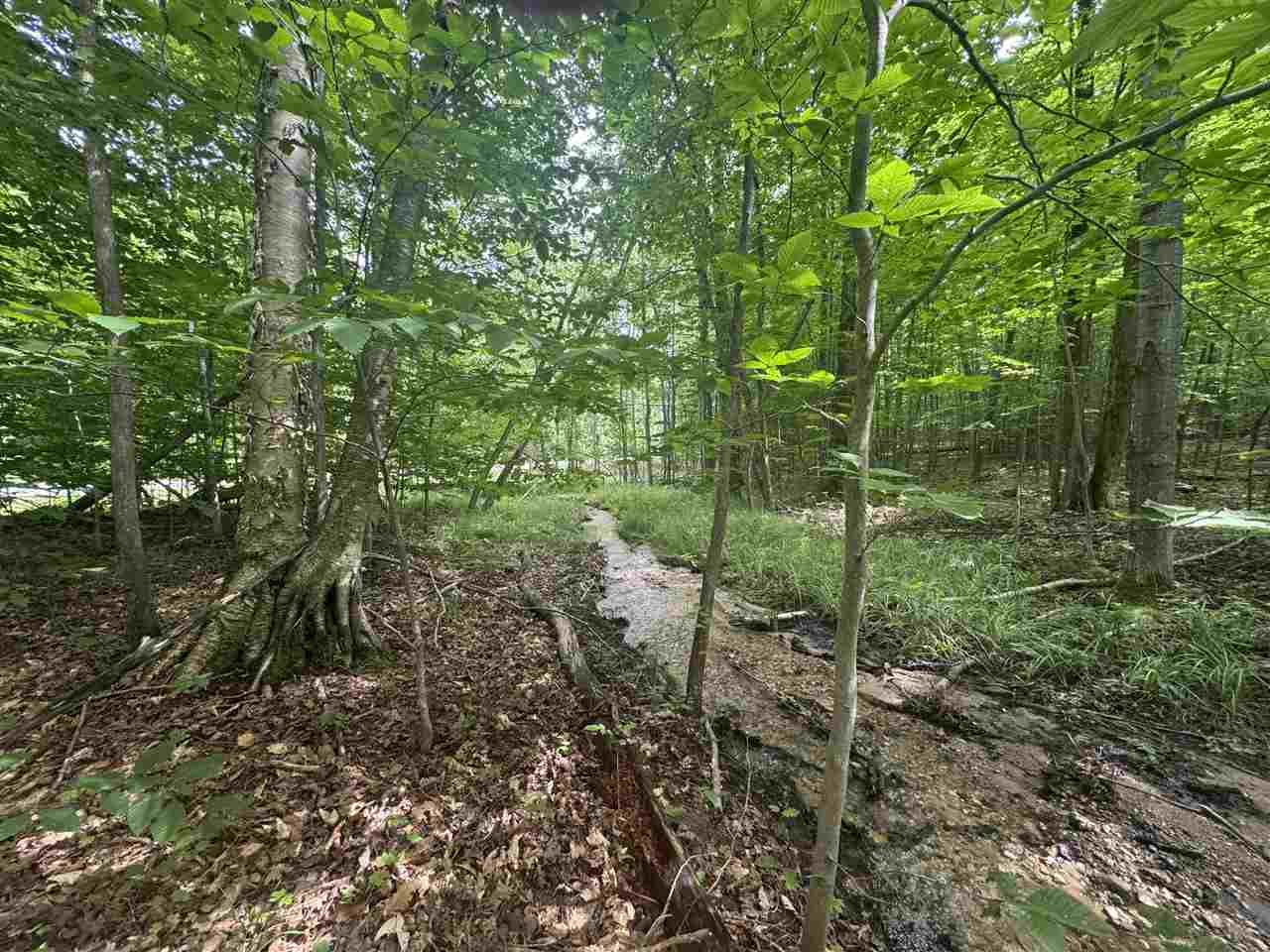 0 Six Mile Lake Road Ellsworth MI 49722