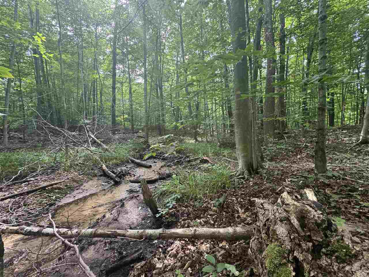 0 Six Mile Lake Road Ellsworth MI 49722