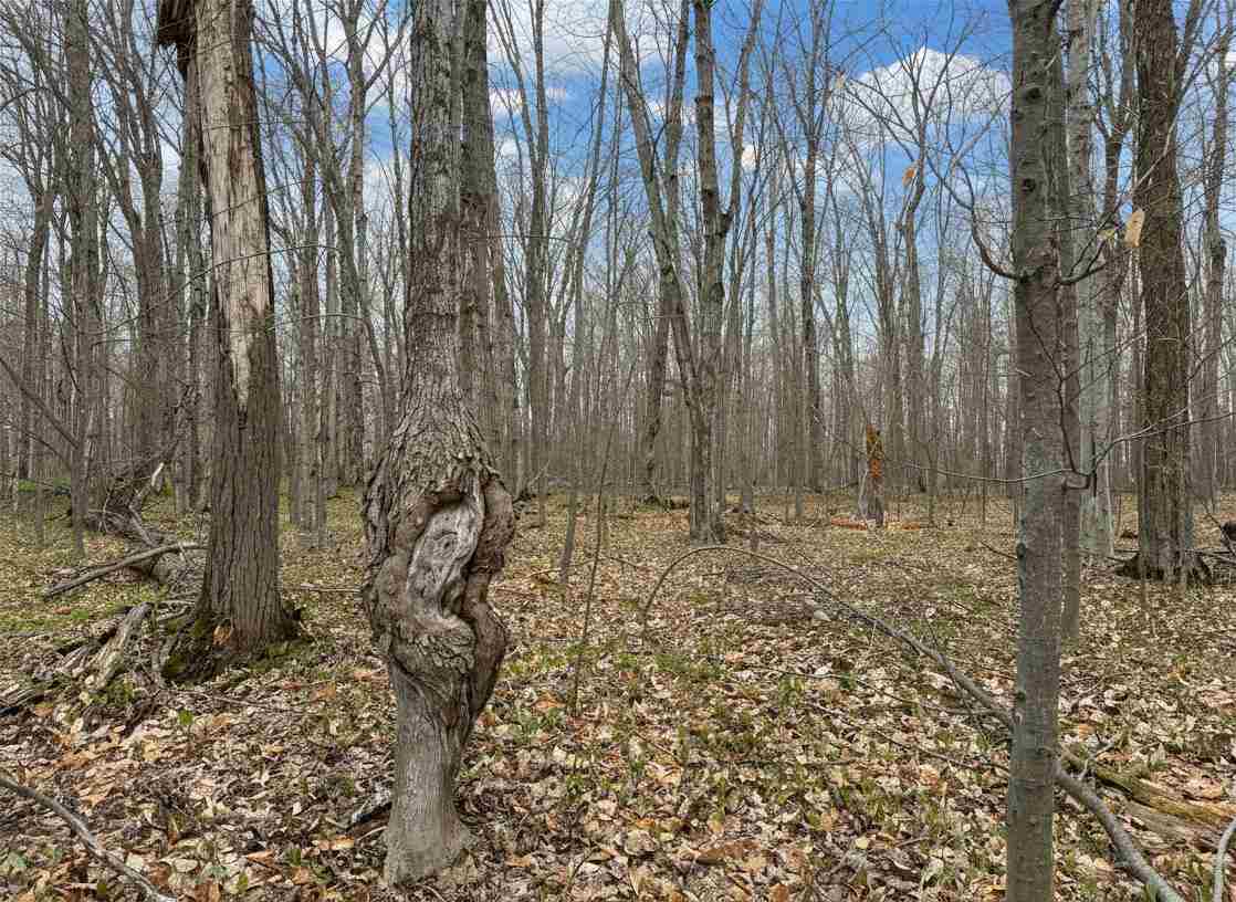 1.7 Acre Latocha Road Pellston MI 49769