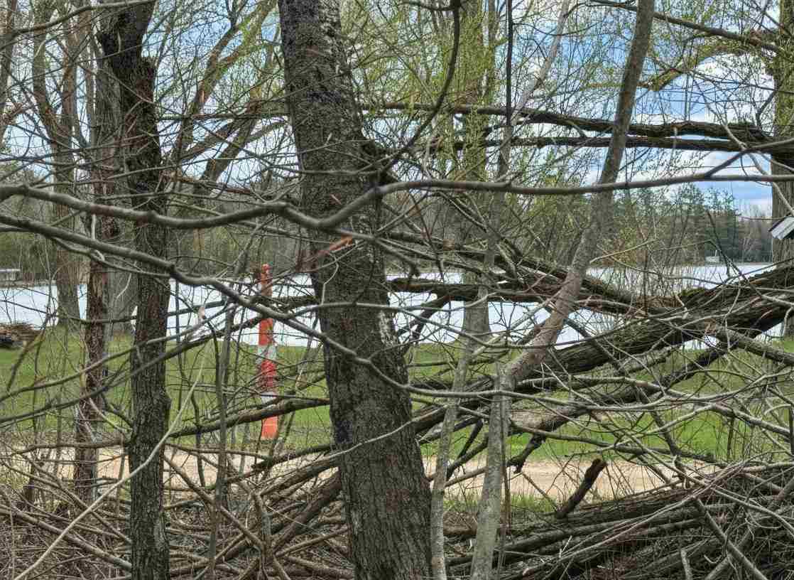 1.7 Acre Latocha Road Pellston MI 49769