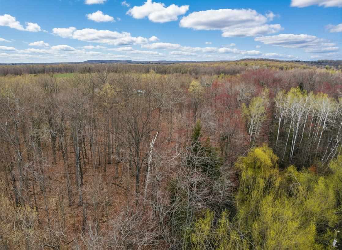 1.7 Acre Latocha Road Pellston MI 49769