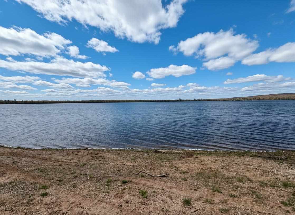 1.7 Acre Latocha Road Pellston MI 49769