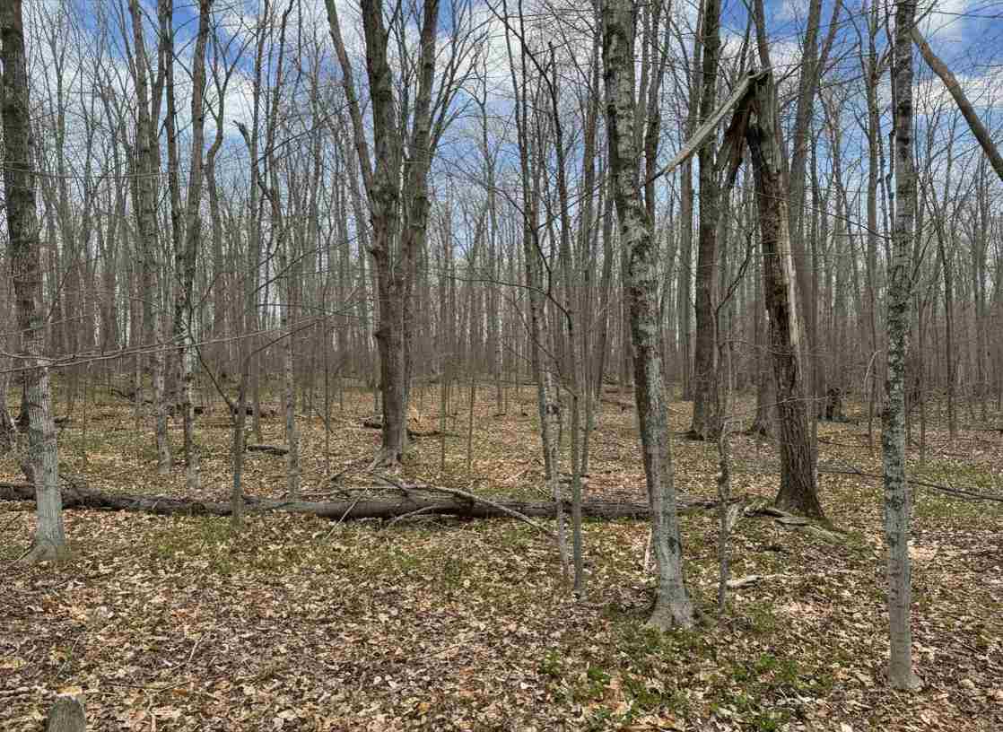 1.7 Acre Latocha Road Pellston MI 49769