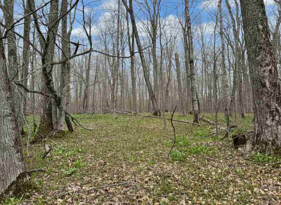 1.7 Acre Latocha Road Pellston MI 49769