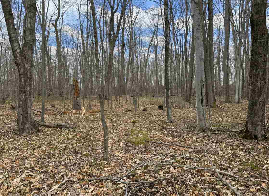 1.7 Acre Latocha Road Pellston MI 49769