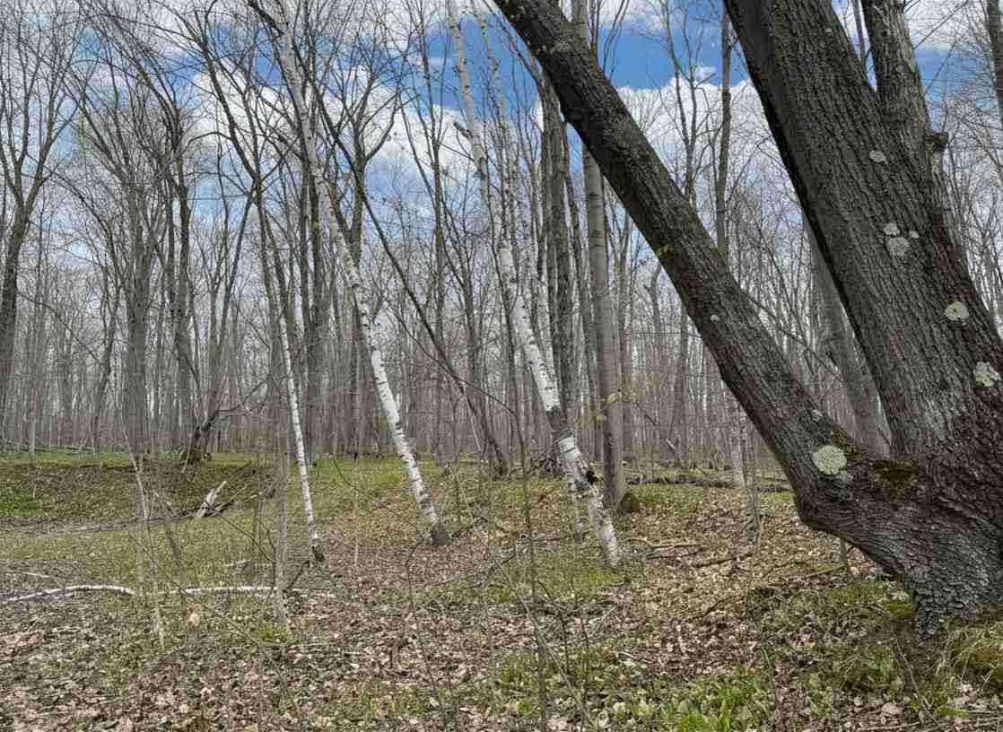 1.7 Acre Latocha Road Pellston MI 49769