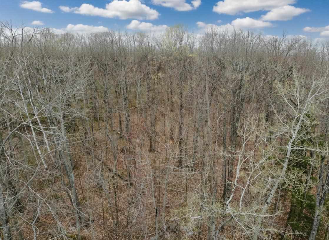 1.7 Acre Latocha Road Pellston MI 49769
