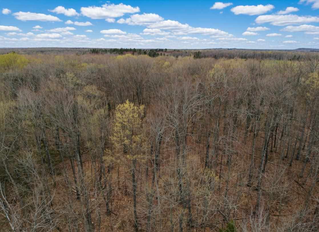 1.7 Acre Latocha Road Pellston MI 49769