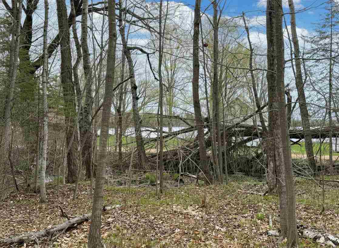 1.7 Acre Latocha Road Pellston MI 49769