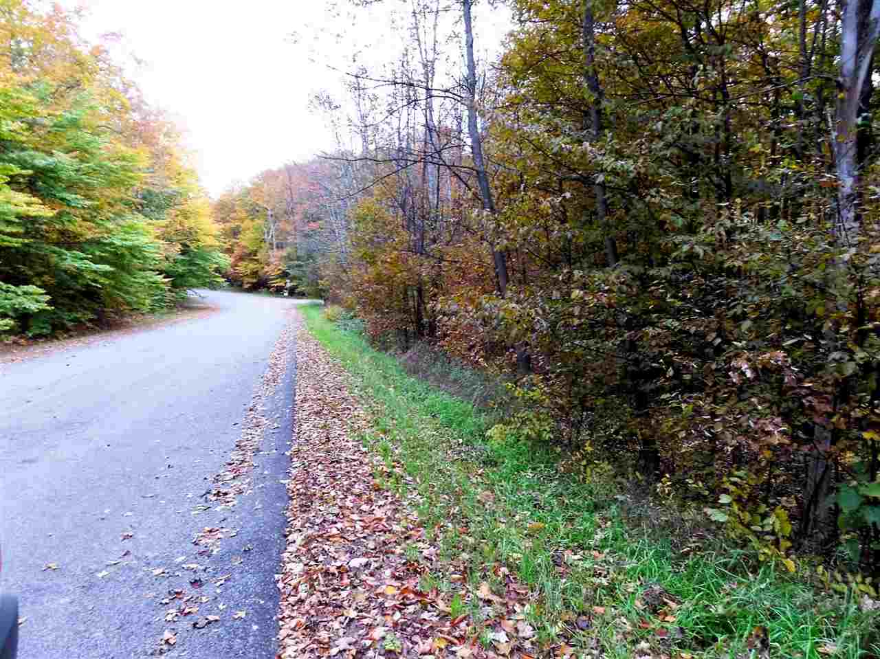 Lot 224 Matterhorn Lane Bellaire MI 49615