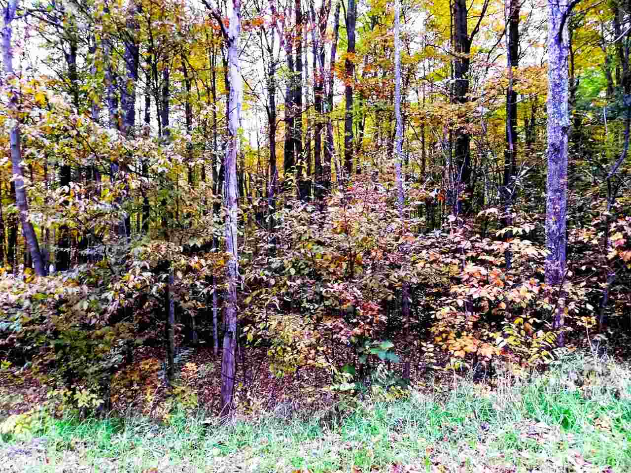 Lot 224 Matterhorn Lane Bellaire MI 49615