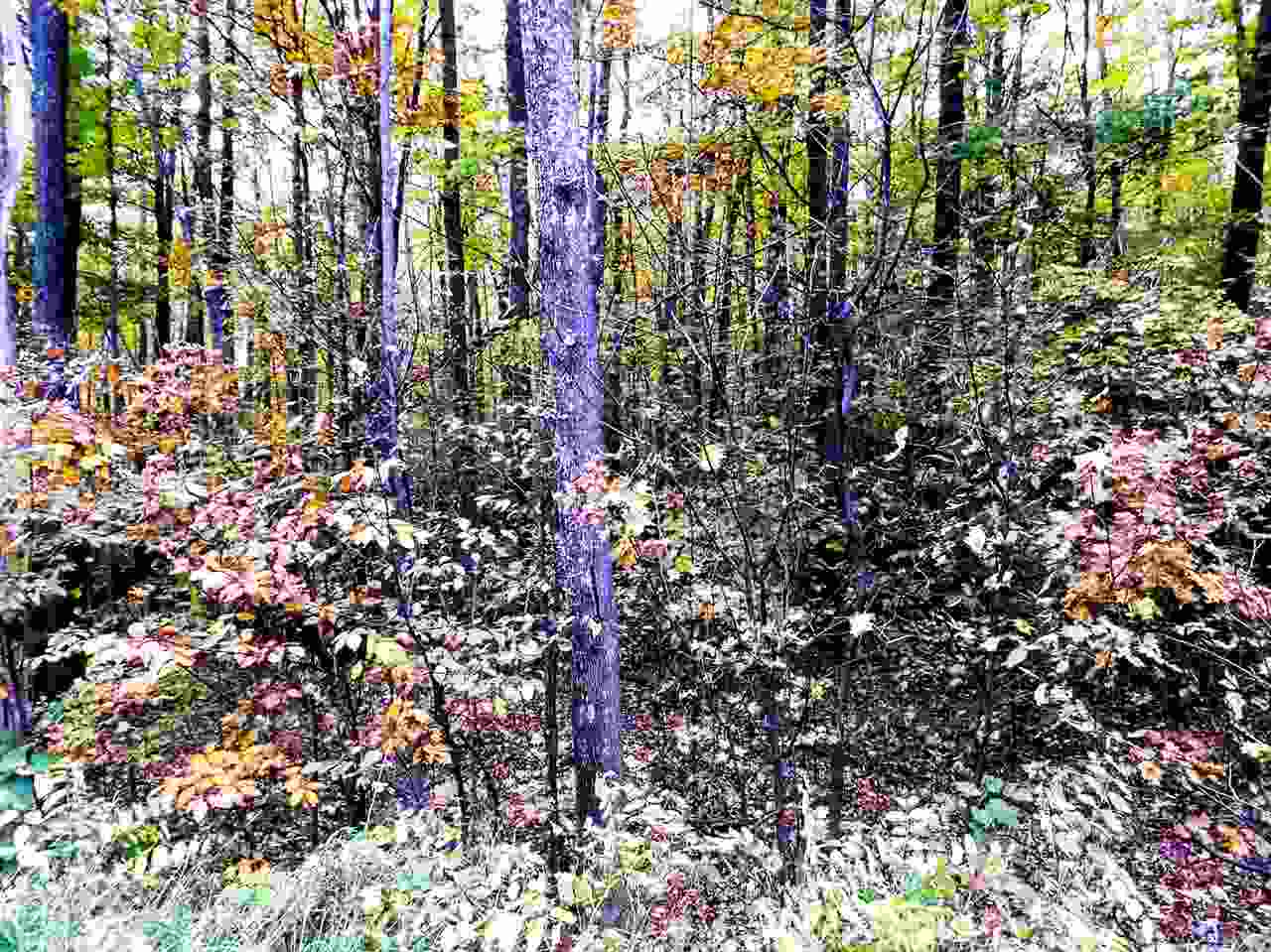 Lot 224 Matterhorn Lane Bellaire MI 49615