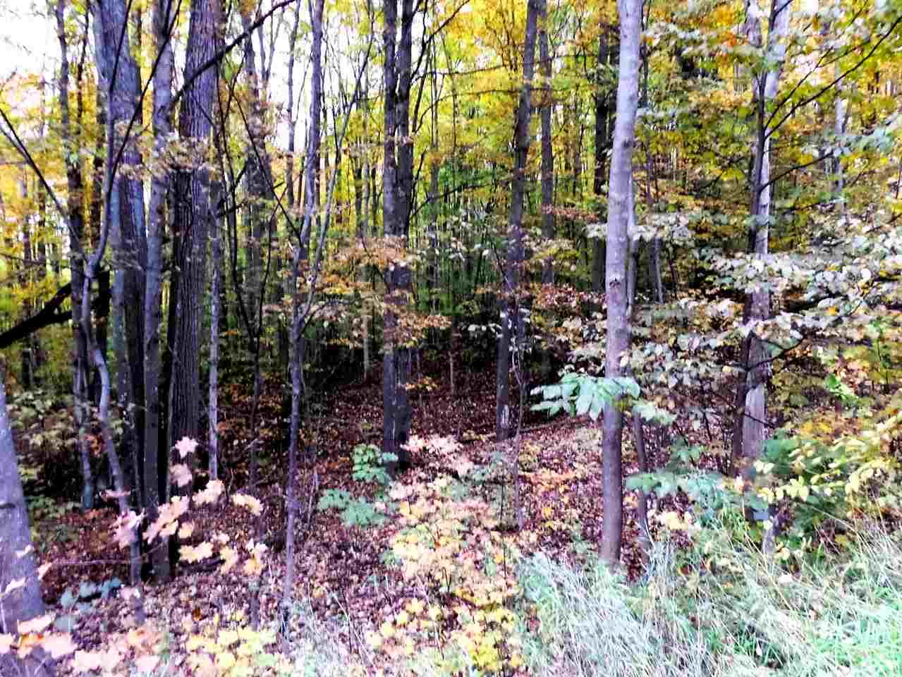 Lot 224 Matterhorn Lane Bellaire MI 49615