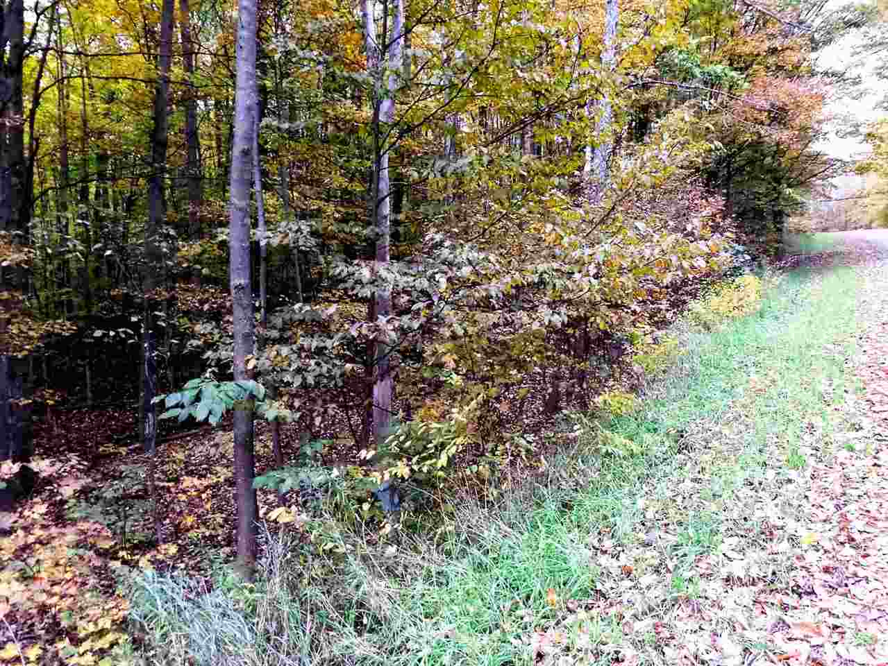 Lot 224 Matterhorn Lane Bellaire MI 49615