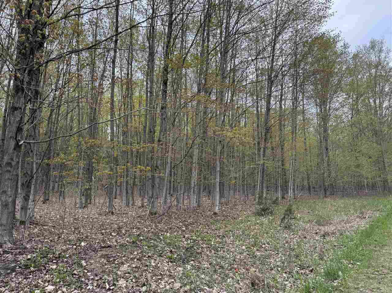 Vl Kaden Lane Boyne City MI 49712-0000