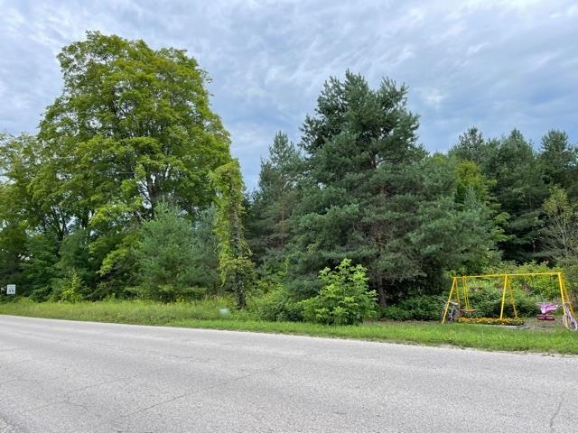 E State Street Central Lake MI 49622