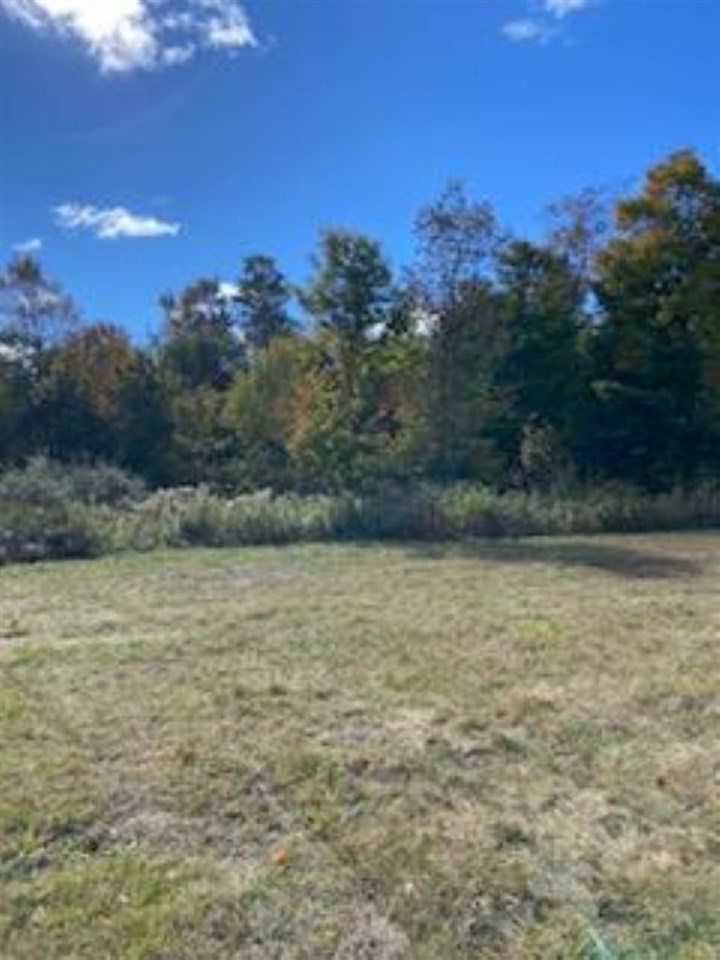 Tbd Kawegoma Road Harbor Springs MI 49740