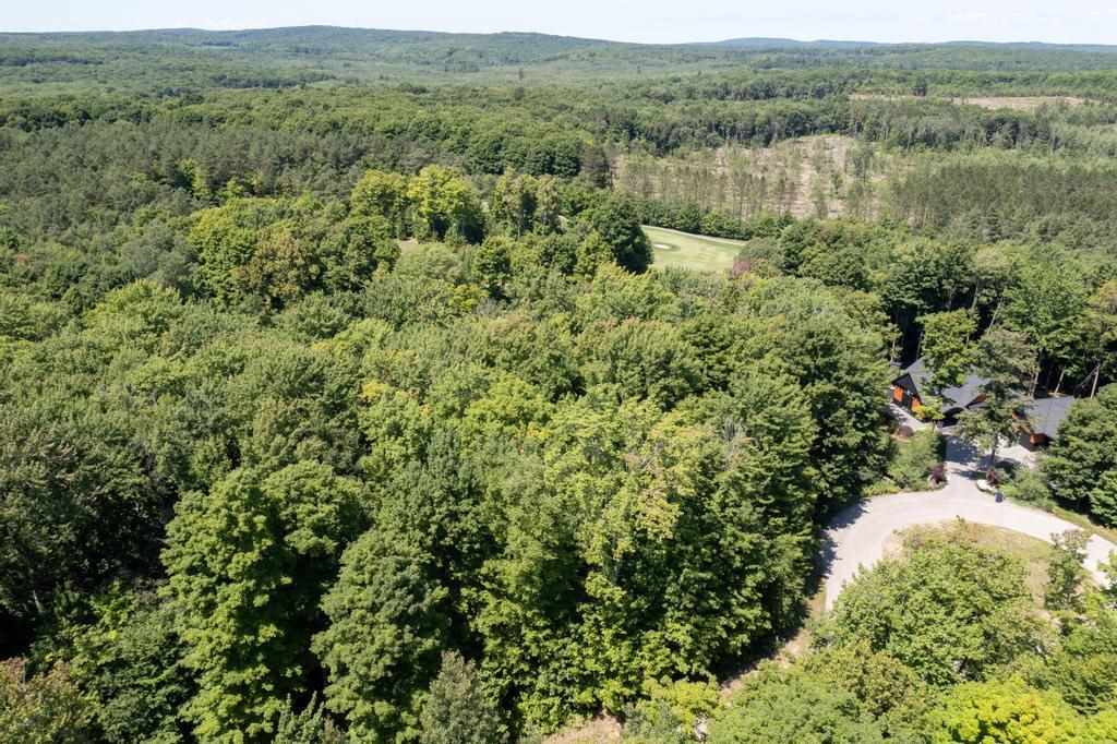 2210 Black Rock Way Harbor Springs MI 49740