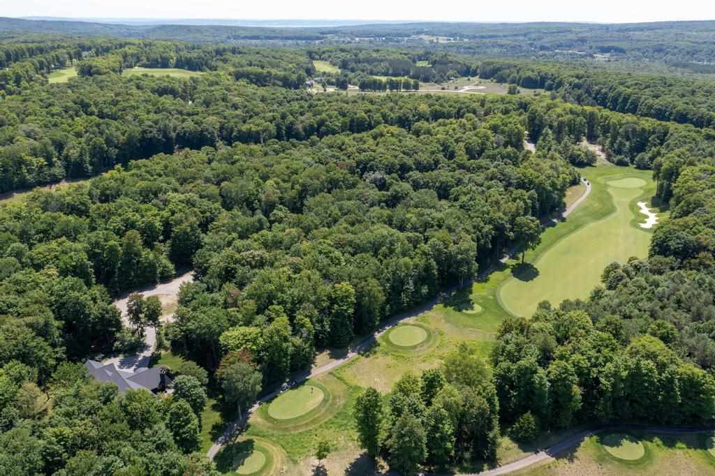 2210 Black Rock Way Harbor Springs MI 49740