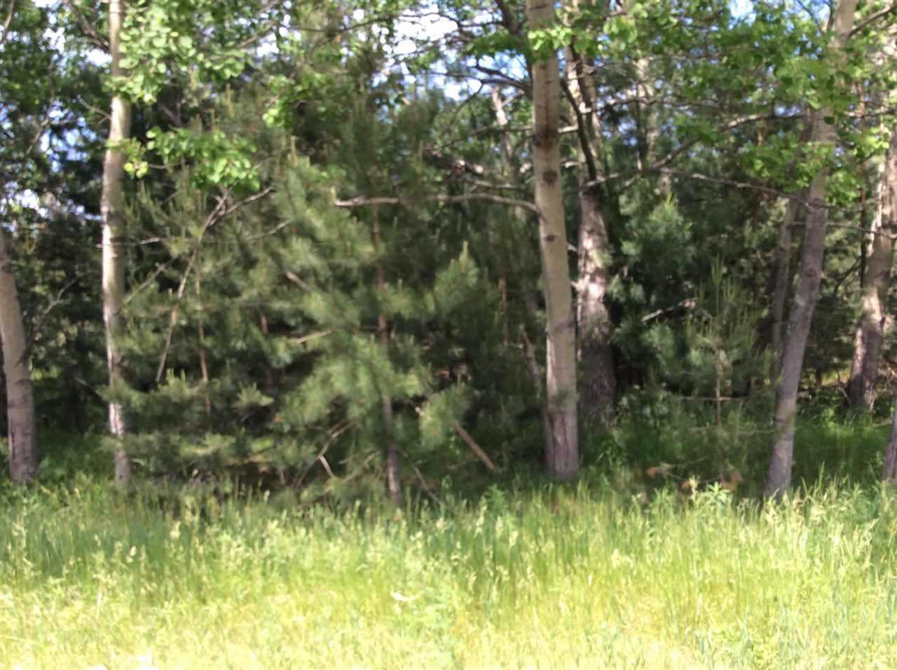 0 Camp Daggett Boyne City MI 49712