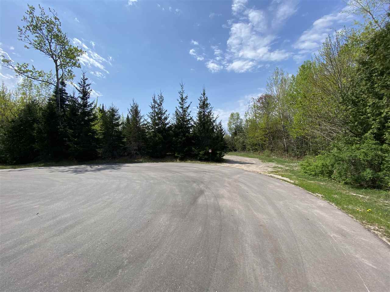 5664 Coastal Woods Court Bay Harbor MI 49770