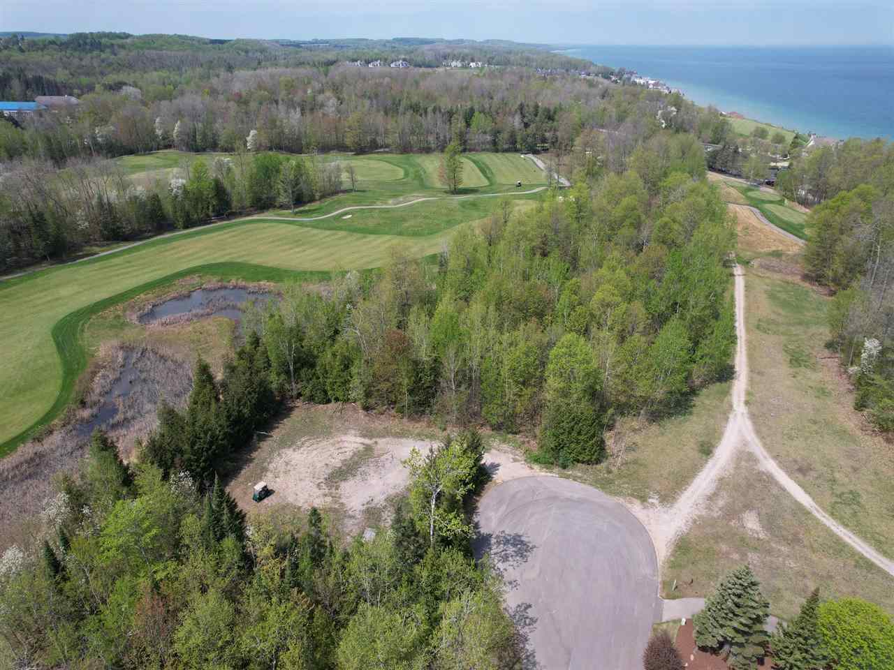 5664 Coastal Woods Court Bay Harbor MI 49770