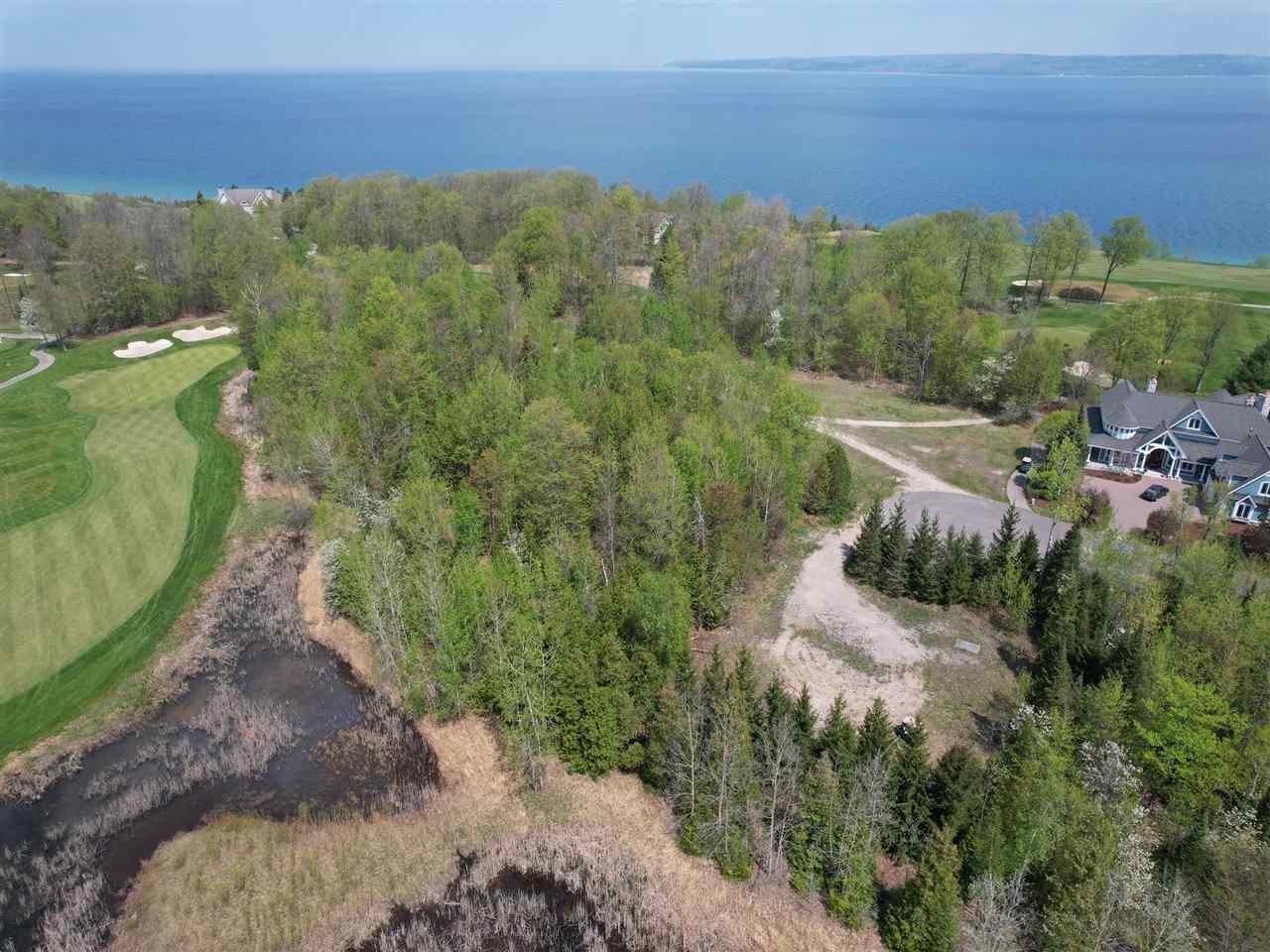 5664 Coastal Woods Court Bay Harbor MI 49770
