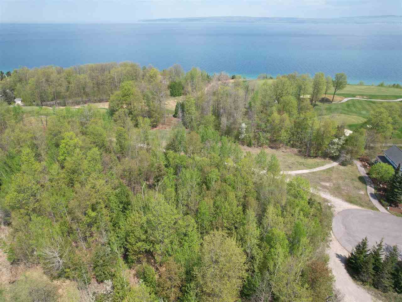 5664 Coastal Woods Court Bay Harbor MI 49770