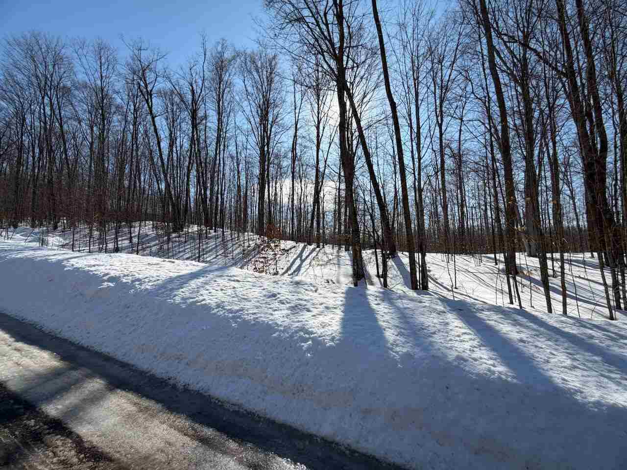 Unit 226 Hawks Eye Drive Bellaire MI 49615