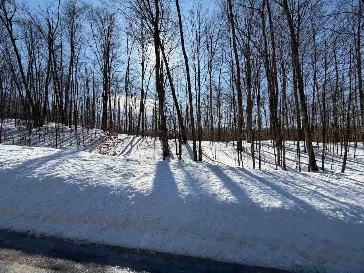 Unit 226 Hawks Eye Drive Bellaire MI 49615