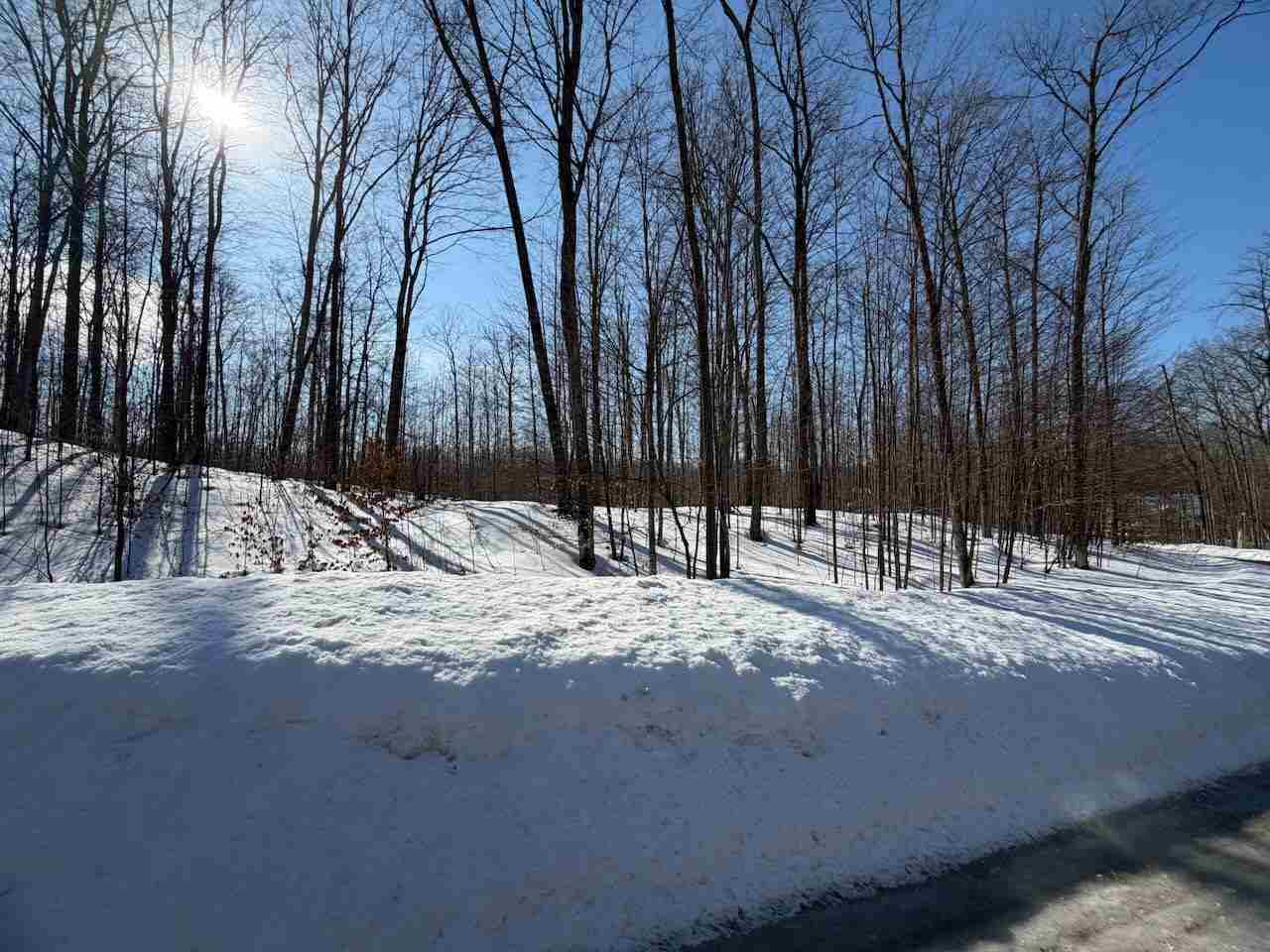 Unit 226 Hawks Eye Drive Bellaire MI 49615
