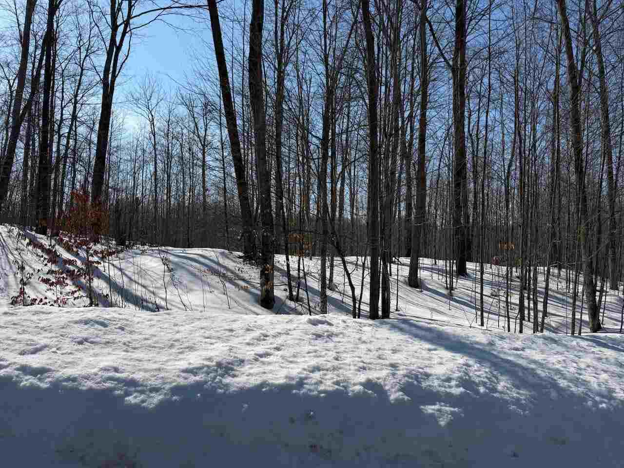 Unit 226 Hawks Eye Drive Bellaire MI 49615