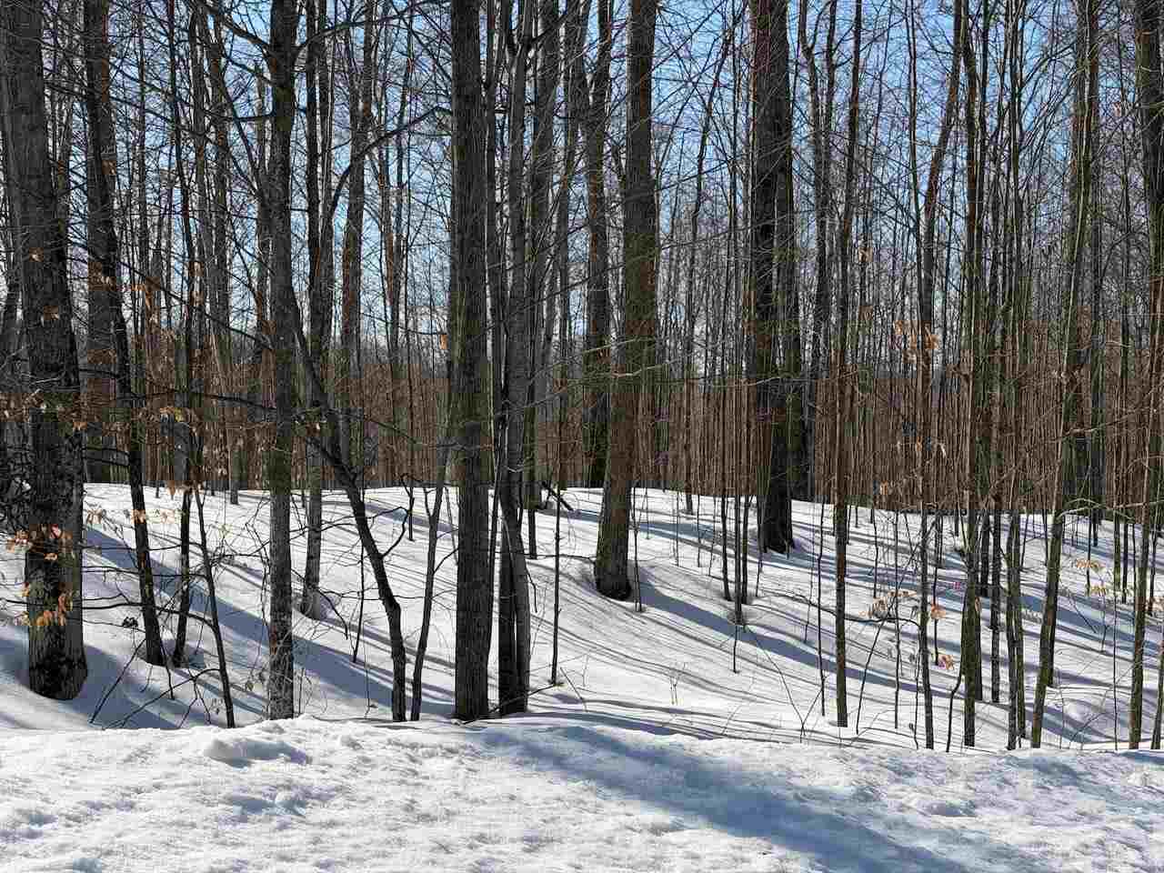 Unit 226 Hawks Eye Drive Bellaire MI 49615