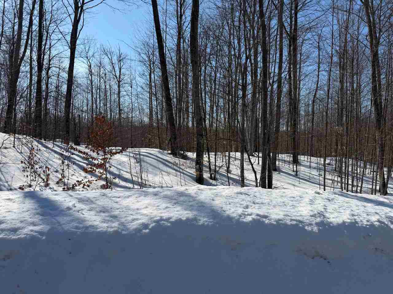 Unit 226 Hawks Eye Drive Bellaire MI 49615