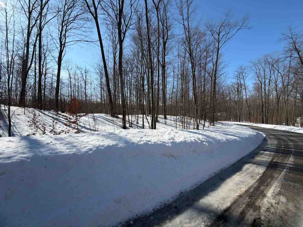 Unit 226 Hawks Eye Drive Bellaire MI 49615