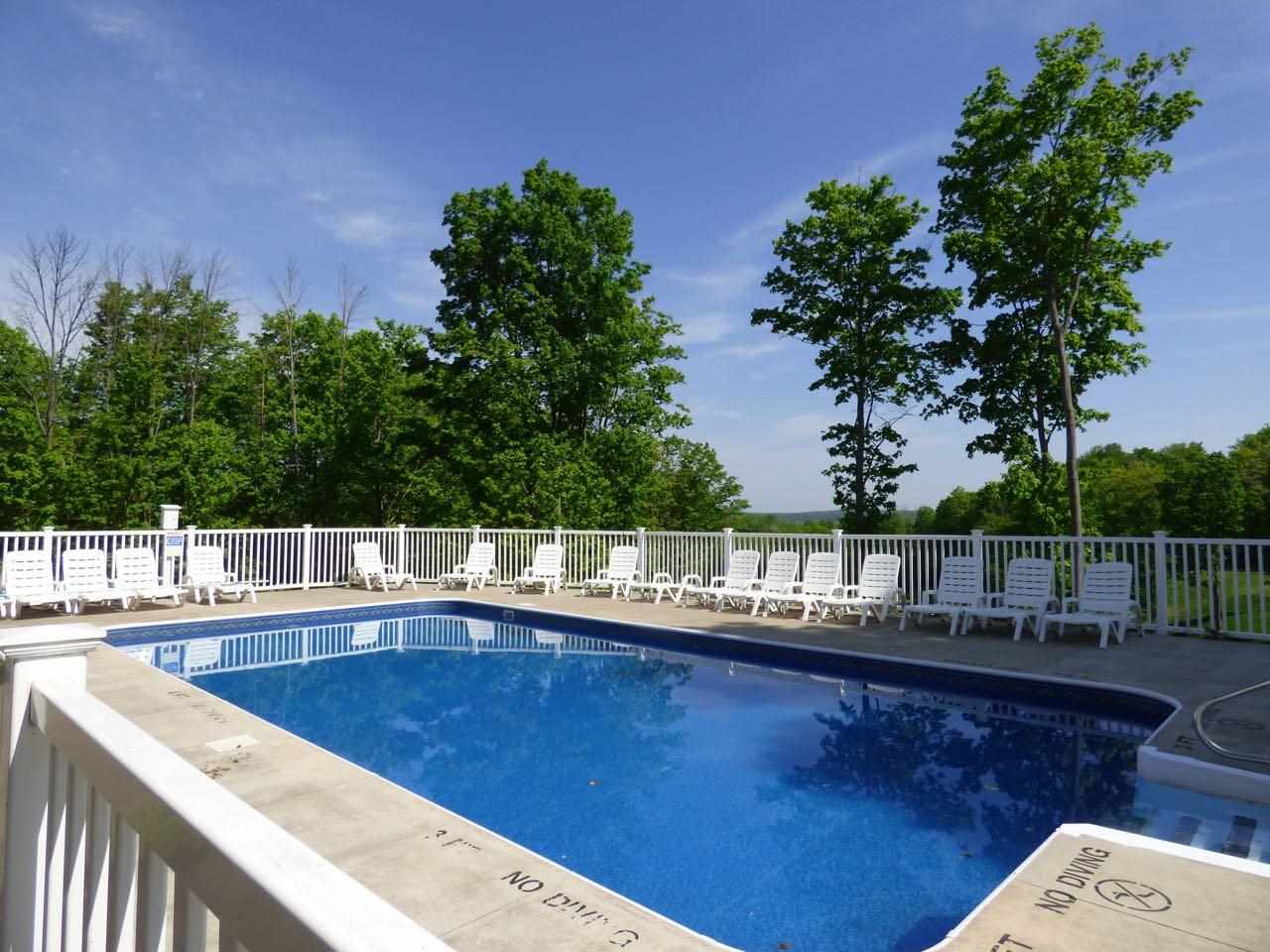 Unit 226 Hawks Eye Drive Bellaire MI 49615