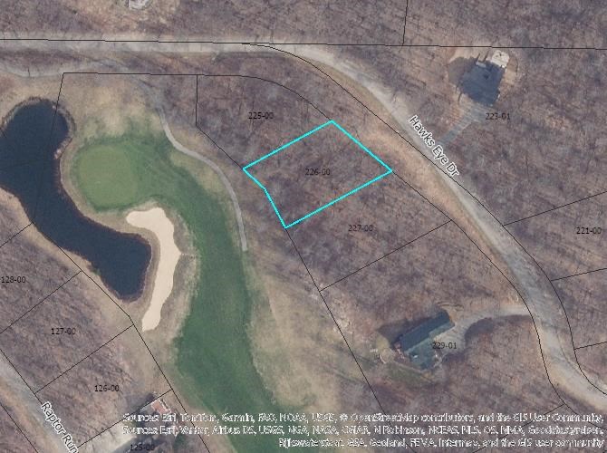Unit 226 Hawks Eye Drive Bellaire MI 49615