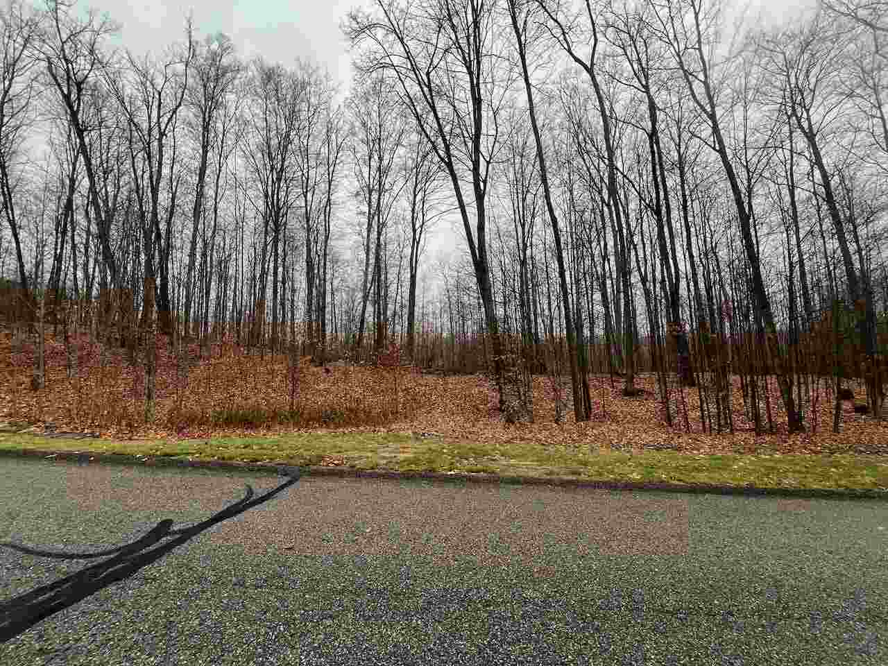 Unit 226 Hawks Eye Drive Bellaire MI 49615