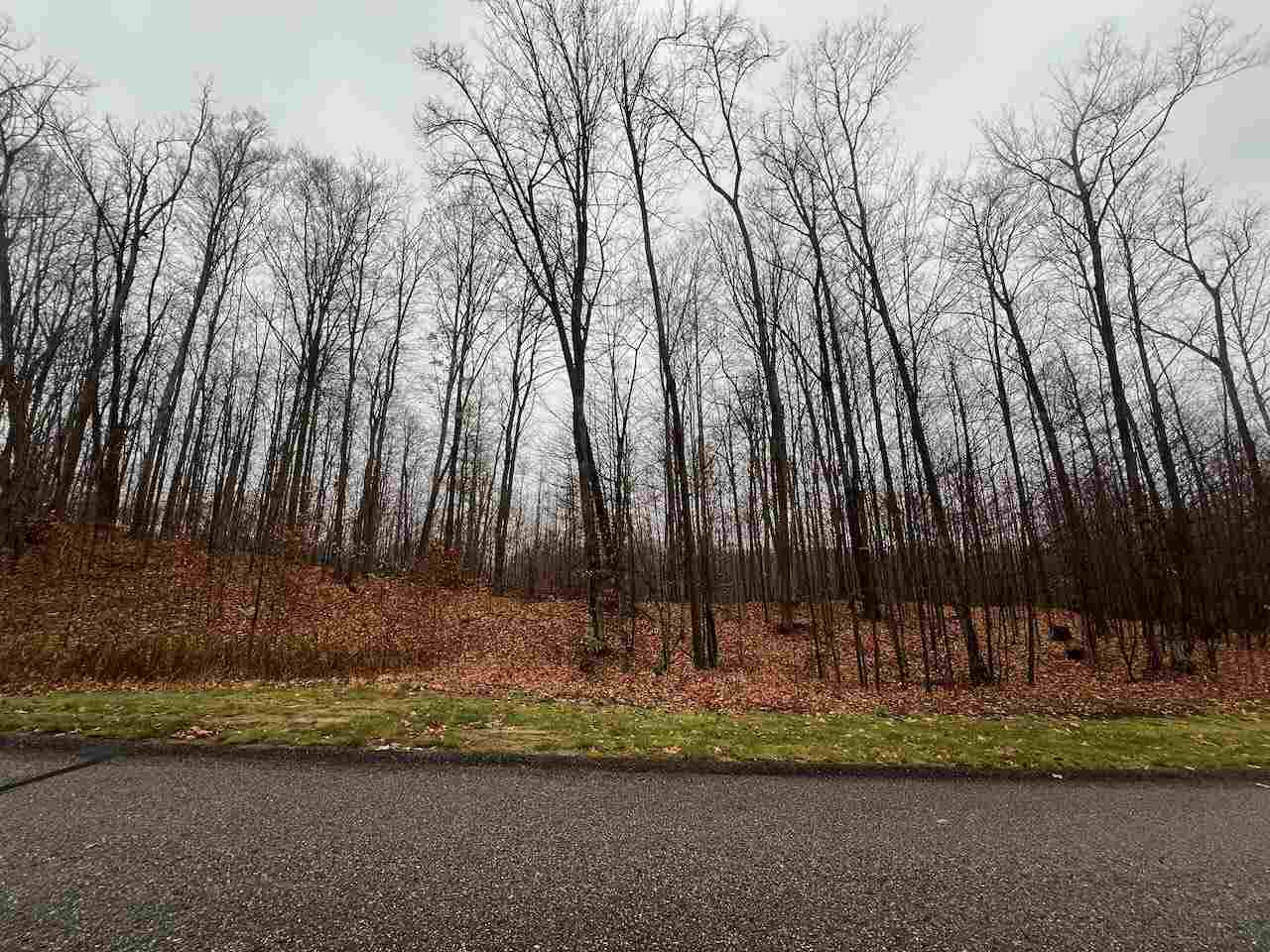 Unit 226 Hawks Eye Drive Bellaire MI 49615