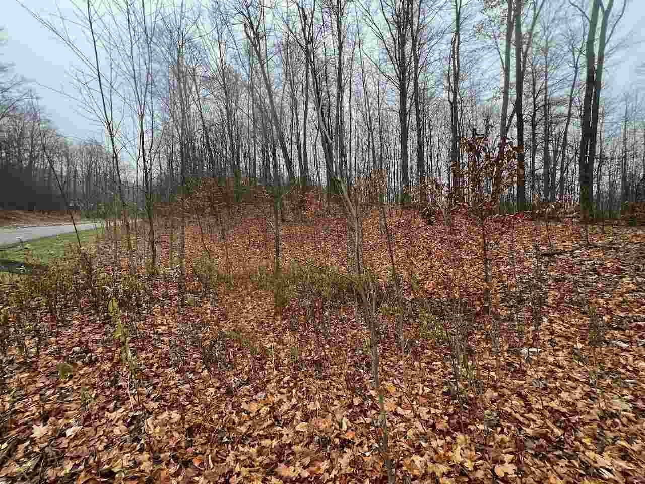 Unit 226 Hawks Eye Drive Bellaire MI 49615