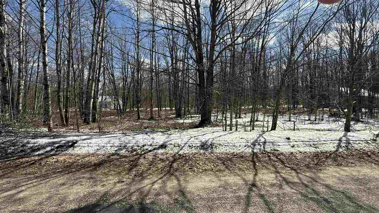Lot 421 Northridge Drive Mancelona MI 49659