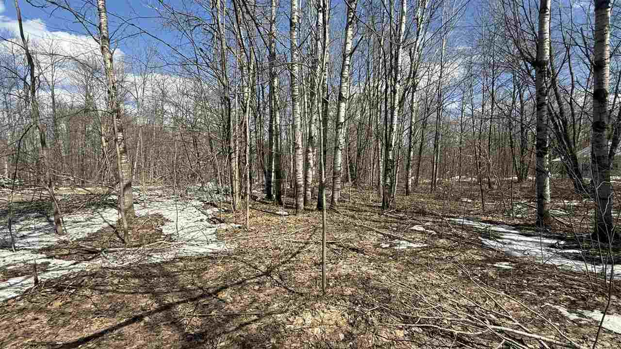 Lot 421 Northridge Drive Mancelona MI 49659