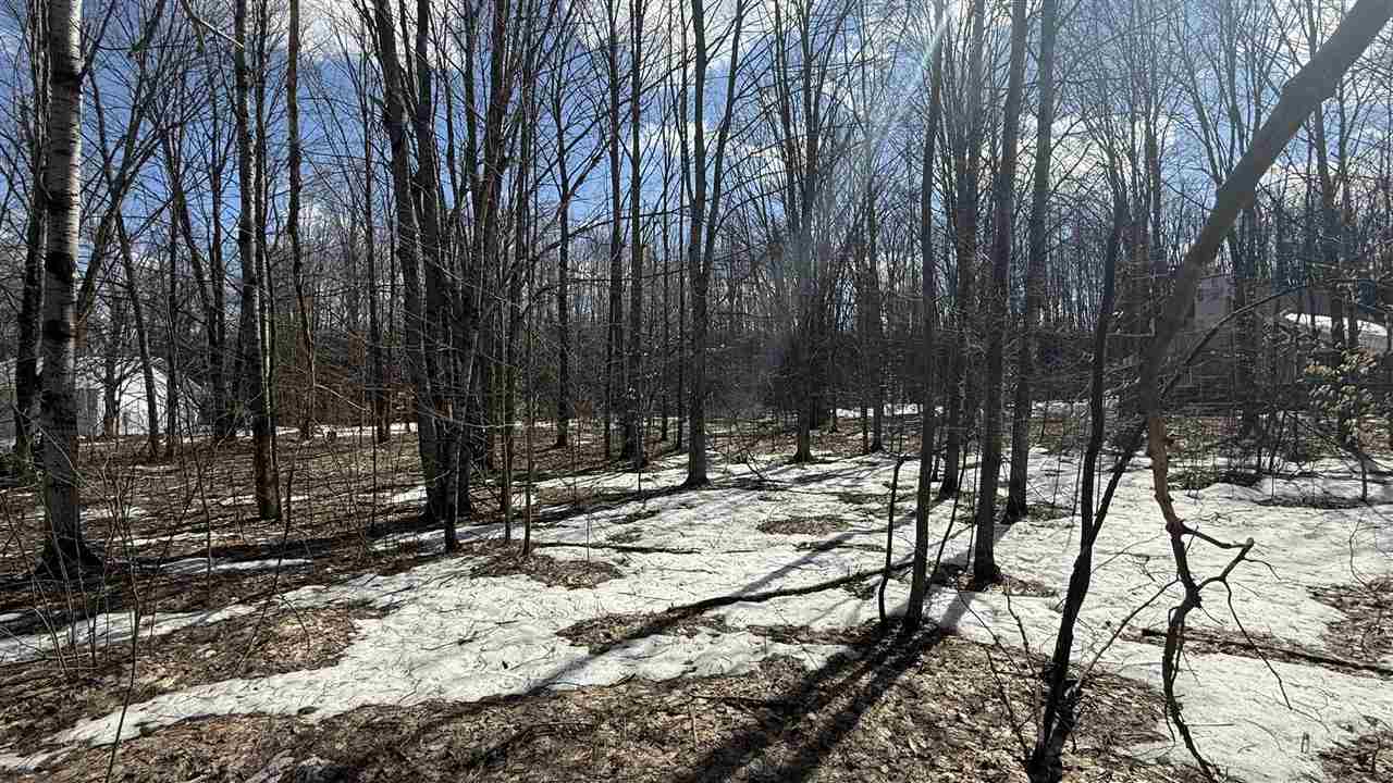 Lot 421 Northridge Drive Mancelona MI 49659