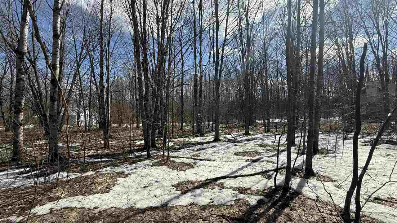Lot 421 Northridge Drive Mancelona MI 49659