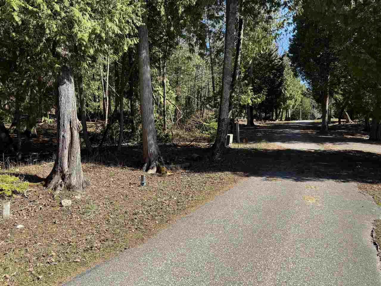 4254 Pine Cove Lane Mackinac Island MI 49757